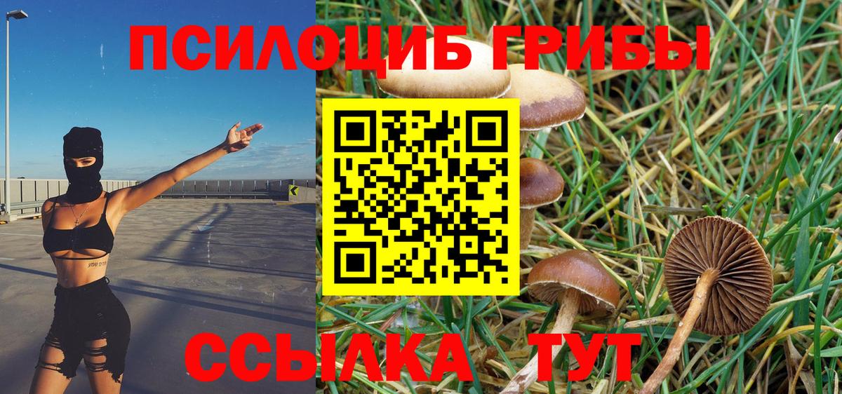 Псилоцибиновые грибы ЛСД  Вход с VPN  Псилоцибиновые грибы Psilocybine cubensis  Уварово 